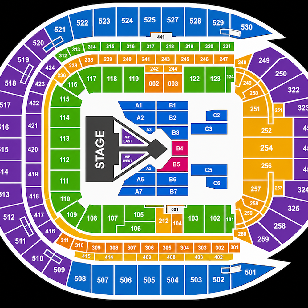 Tottenham Hotspur Stadium concert